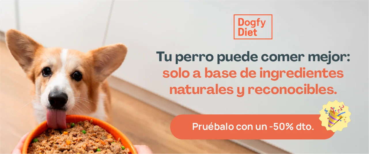 Dogfy Diet patrocinador principal Onewell Academia de porteros.webp